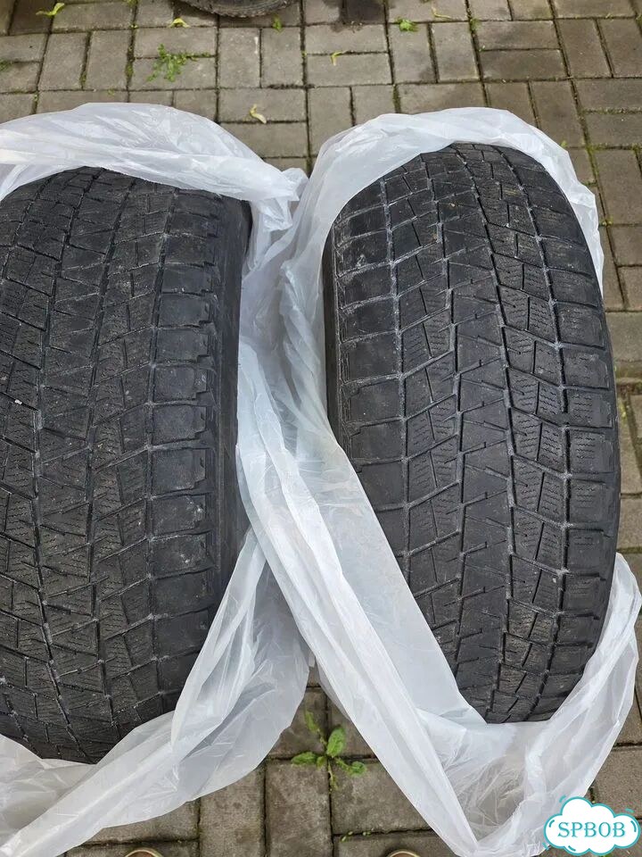 Bridgestone Blizzak DM-V1 225/55 R19 99R фото 3