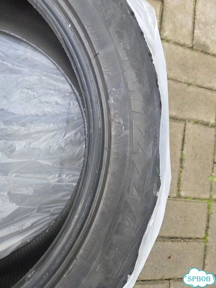 Bridgestone Blizzak DM-V1 225/55 R19 99R фото 6