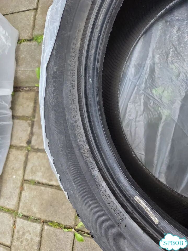 Bridgestone Blizzak DM-V1 225/55 R19 99R фото 7