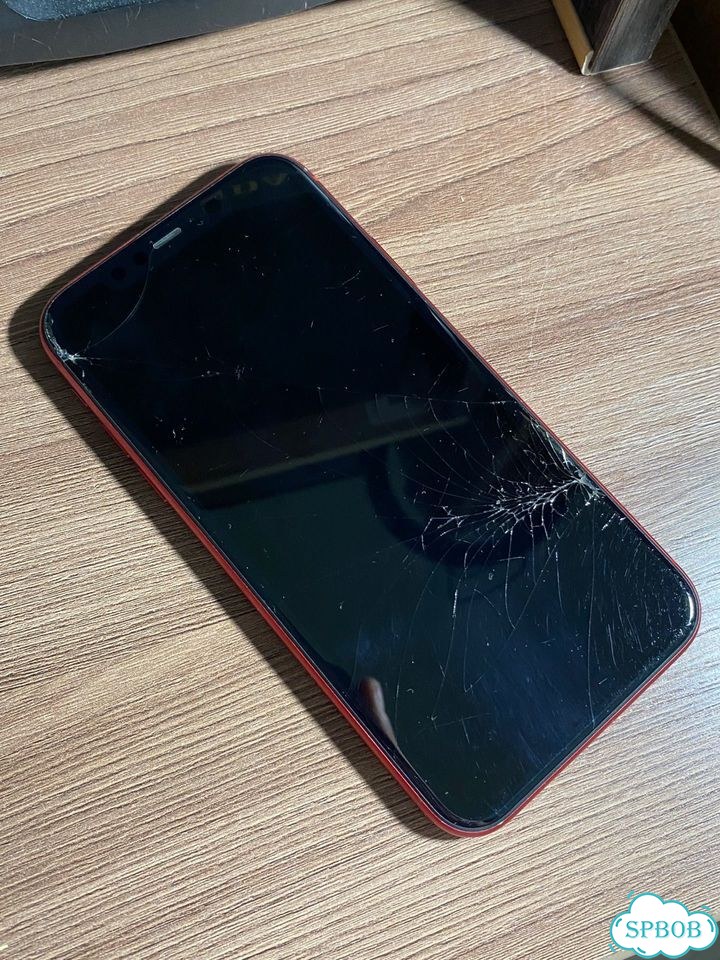 iPhone 11, 64 ГБ, 1 SIM фото 4