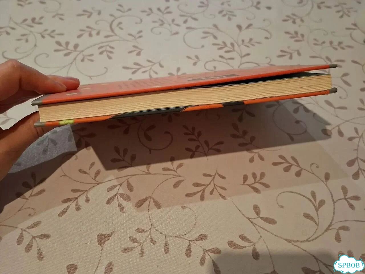 Цацики идет в школу книга фото 5