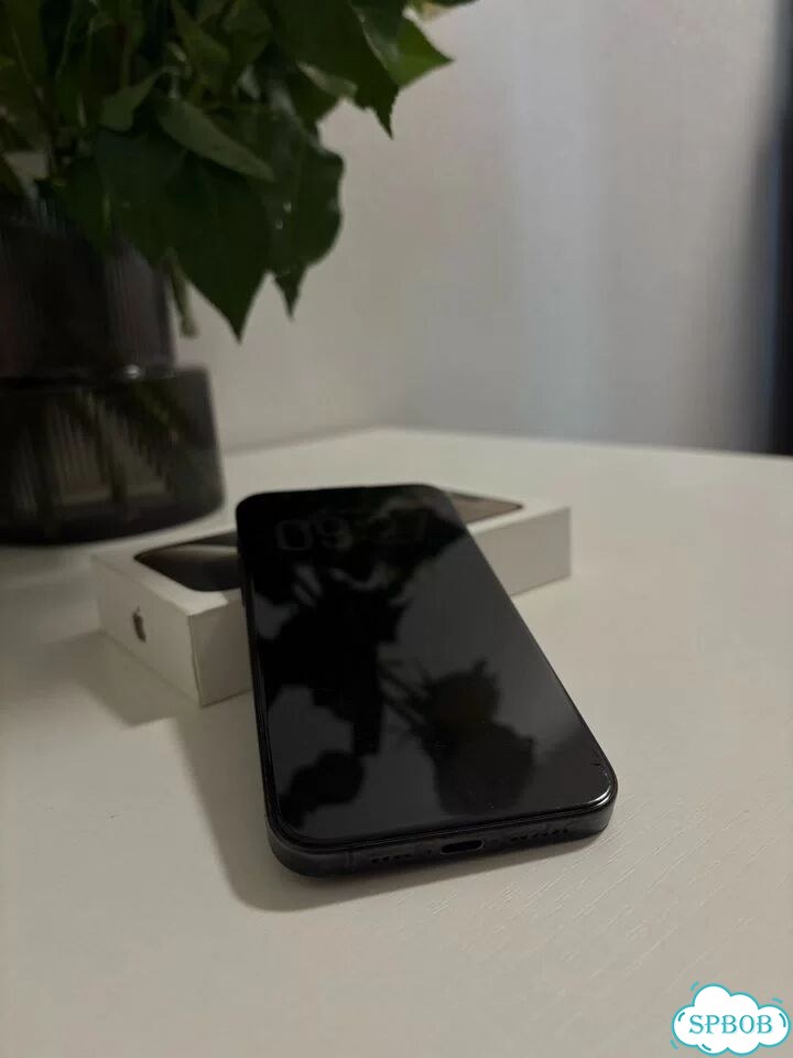 iPhone 15 Pro Max, 256 ГБ, 2 SIM фото 1