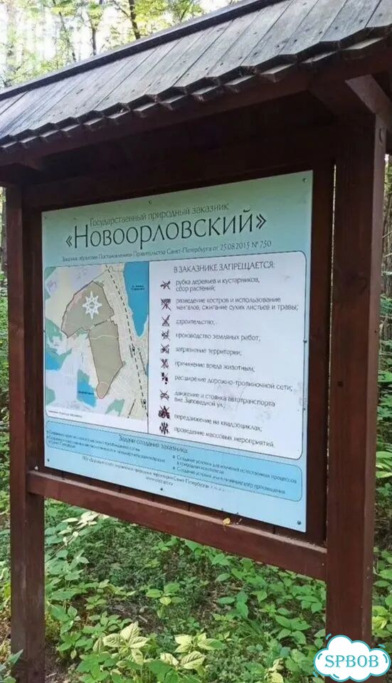 Квартира-студия, 23 м², 10/22 эт. фото 14