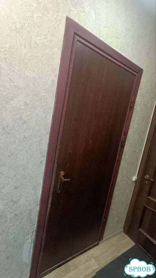 Металлическая дверь бу 80 на 2200 (2000 за 1 шт ) фото 1