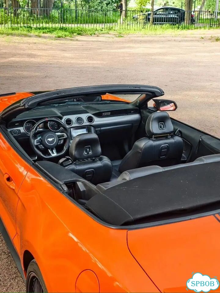 Ford Mustang 2.3 AT, 2018, 98 200 км фото 11