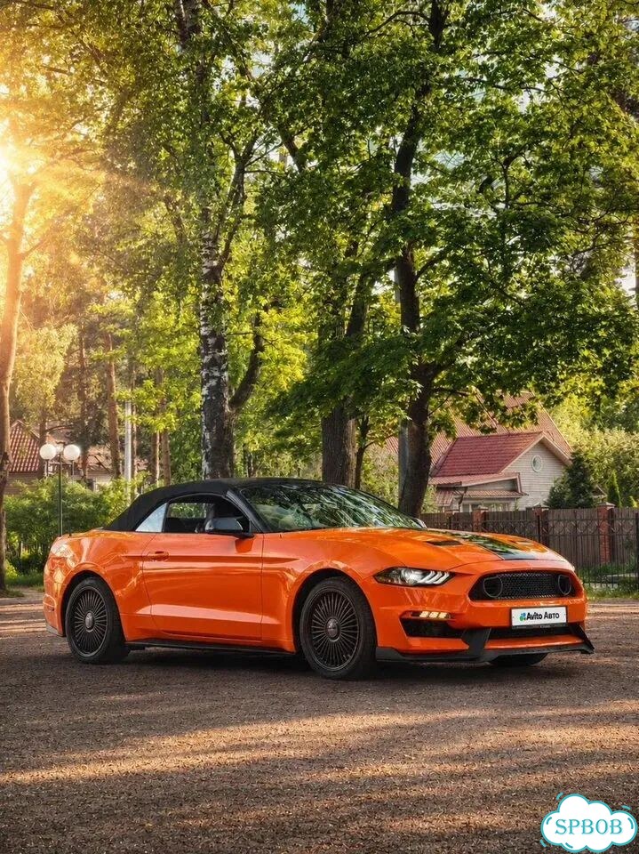 Ford Mustang 2.3 AT, 2018, 98 200 км фото 2