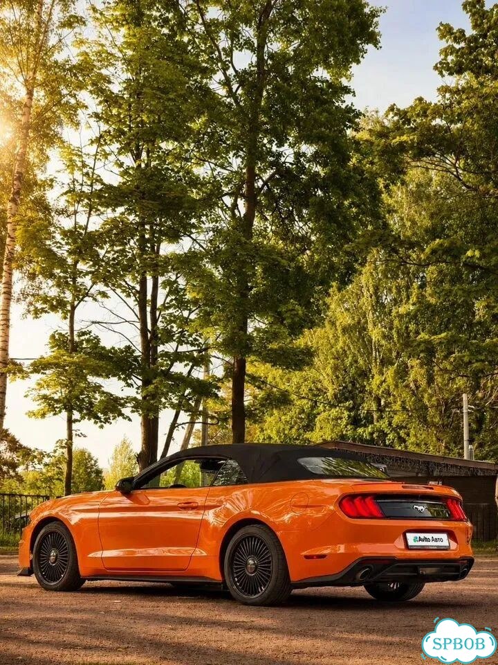 Ford Mustang 2.3 AT, 2018, 98 200 км фото 4