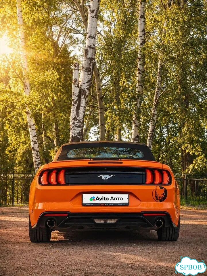Ford Mustang 2.3 AT, 2018, 98 200 км фото 5