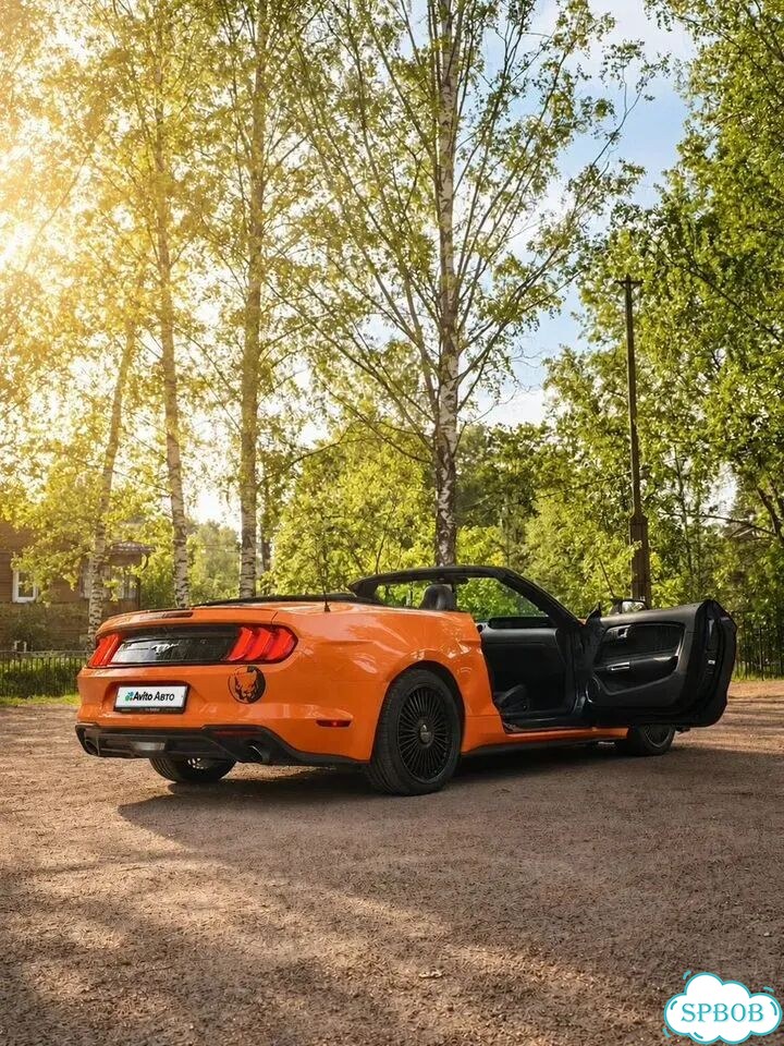 Ford Mustang 2.3 AT, 2018, 98 200 км фото 7