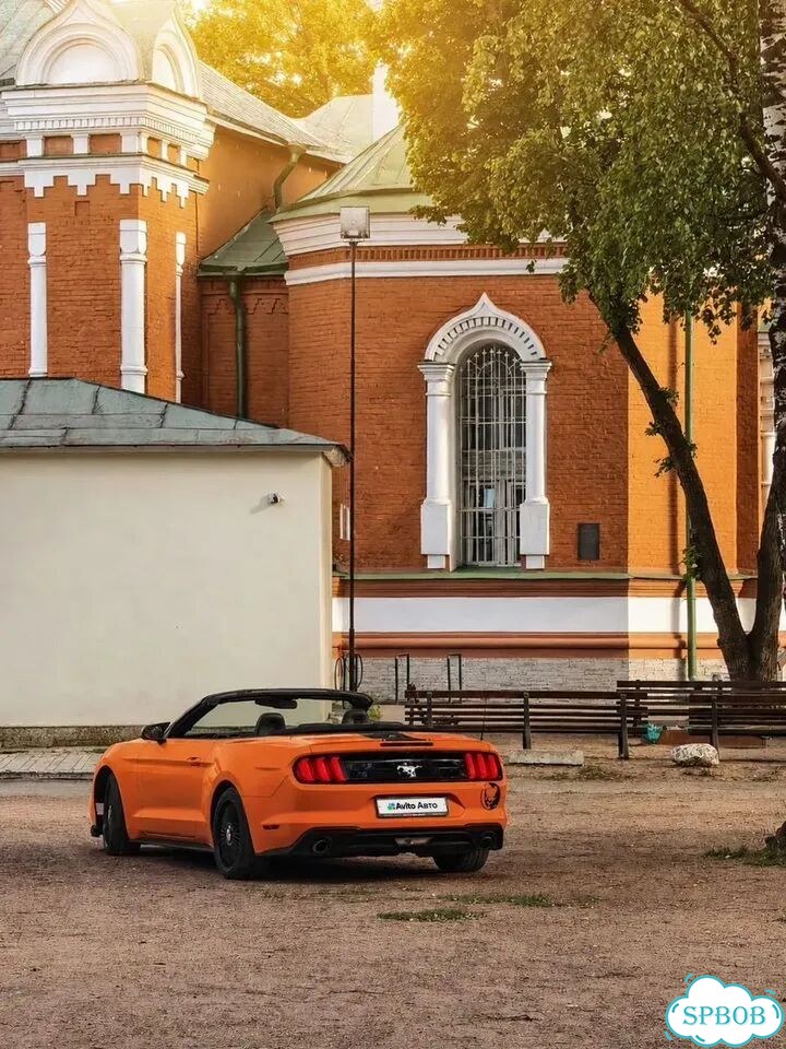 Ford Mustang 2.3 AT, 2018, 98 200 км фото 8