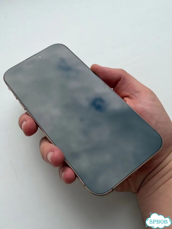 iPhone 16 Pro Max, 256 ГБ, SIM + eSIM фото 2