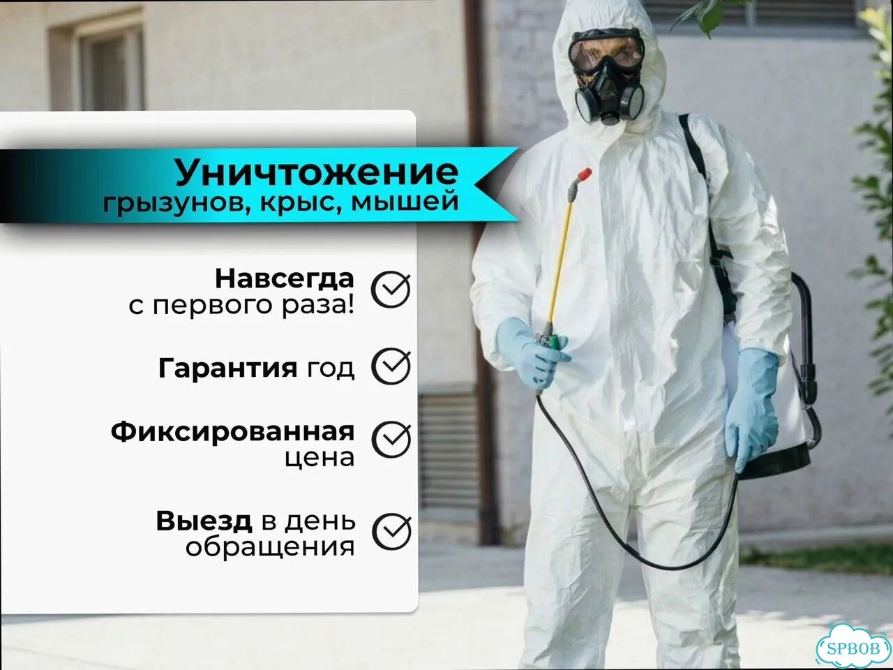 Уничтожение крыс и мышей/ Дератизация фото 1