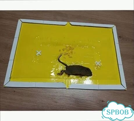 Уничтожение крыс и мышей/ Дератизация фото 6
