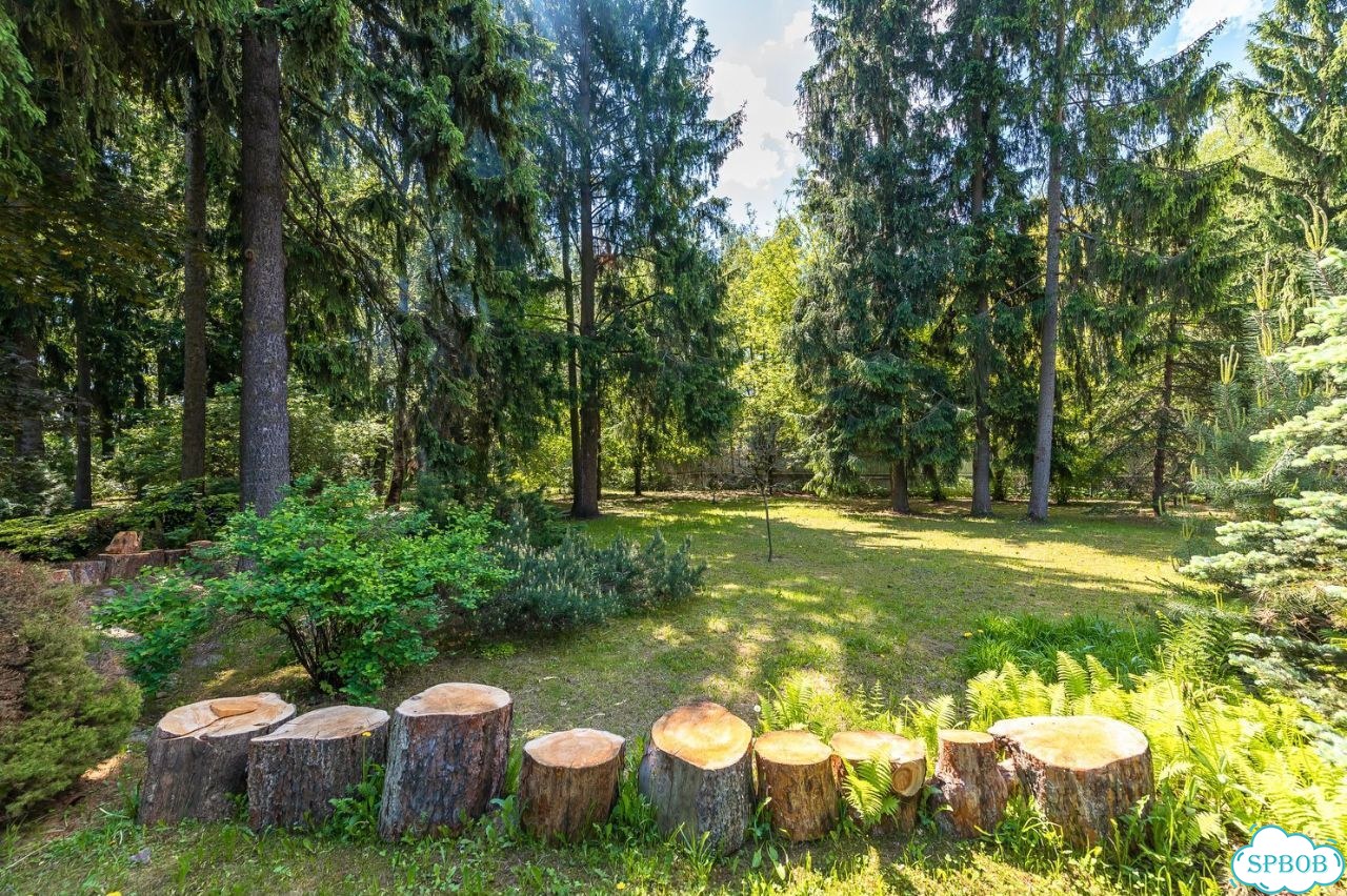 Участок 12 сот. (ИЖС) фото 3