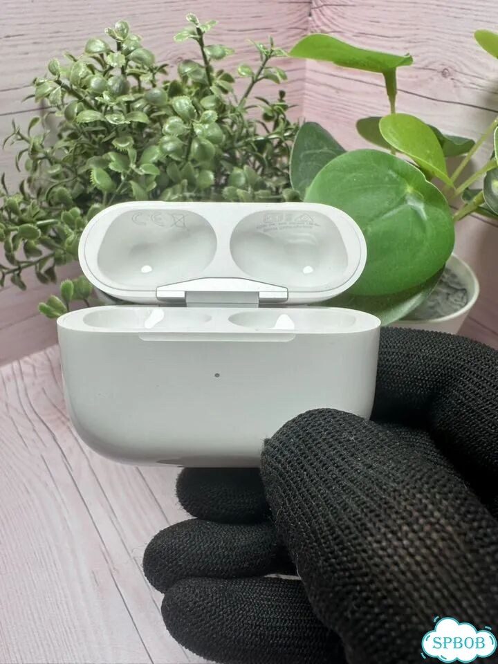 Кейс Airpods Pro (Оригинал, Гарантия) фото 1