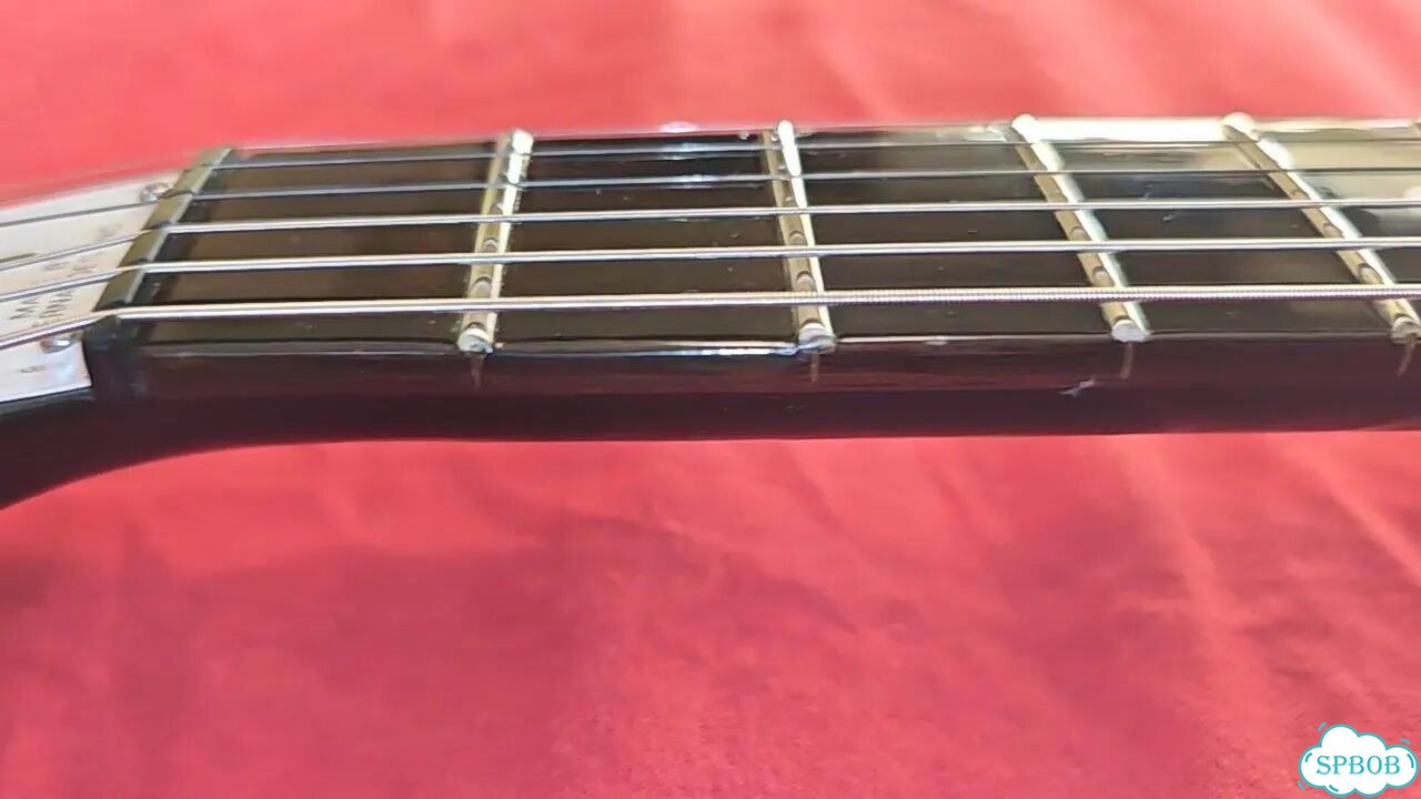 Fernandes RG-80 (Rickenbacker 325) Japan 90's фото 1