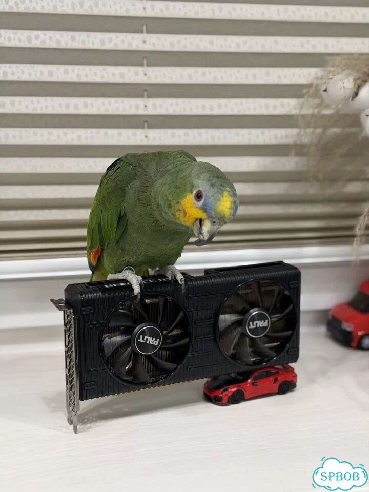 RTX 3060 12gb Palit Dual фото 3