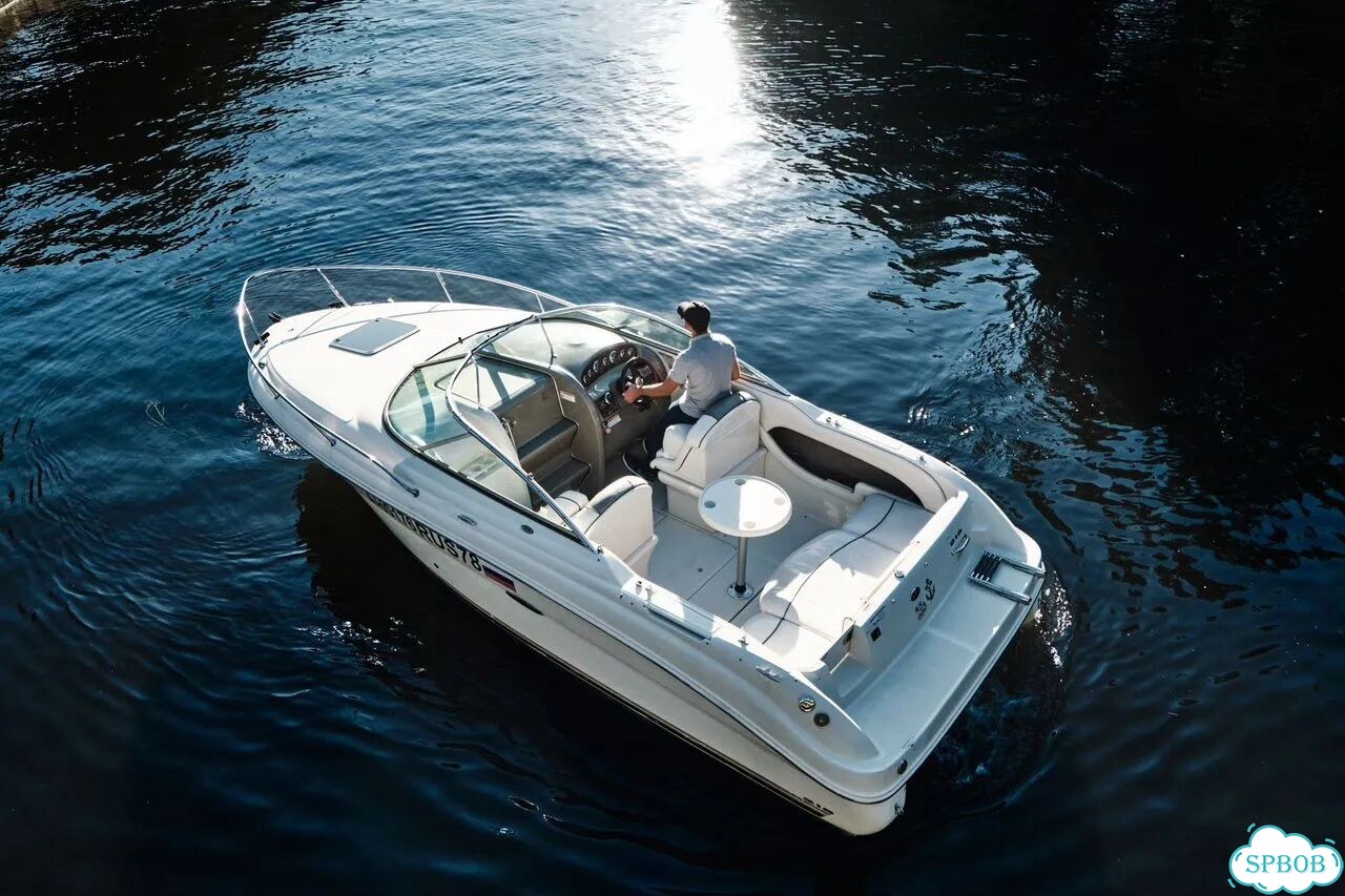 Аренда большого комфортного катера SeaRay 225 1-8ч фото 2