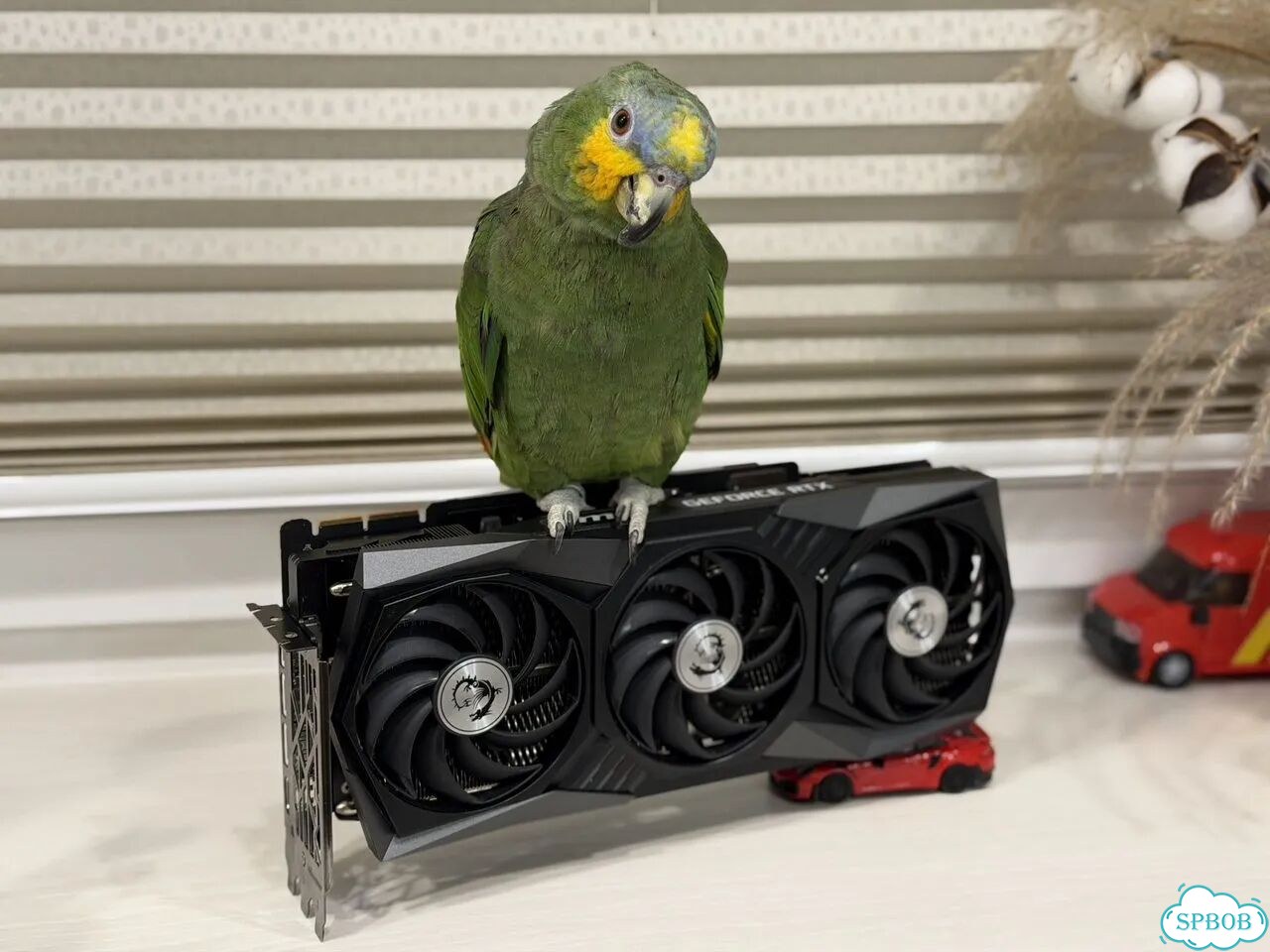 RTX 3090 Ti MSI Gaming X Trio 24gb (trade-in,выкуп фото 2