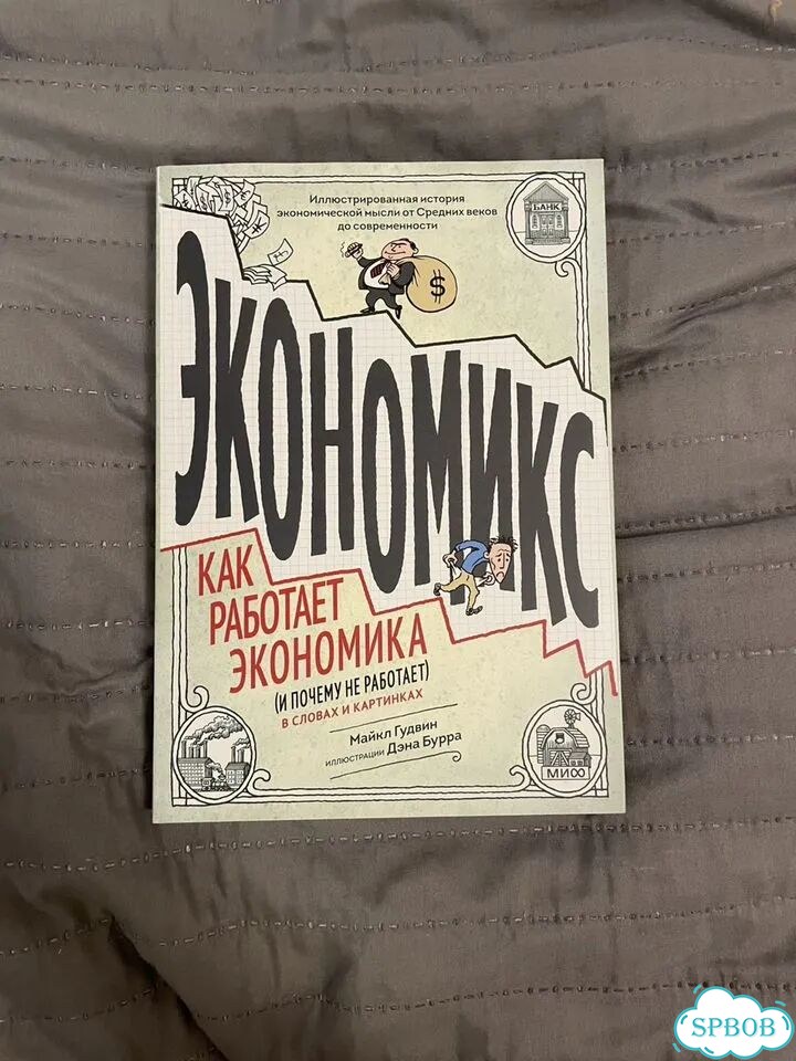 Экономикс Гудвин фото 1