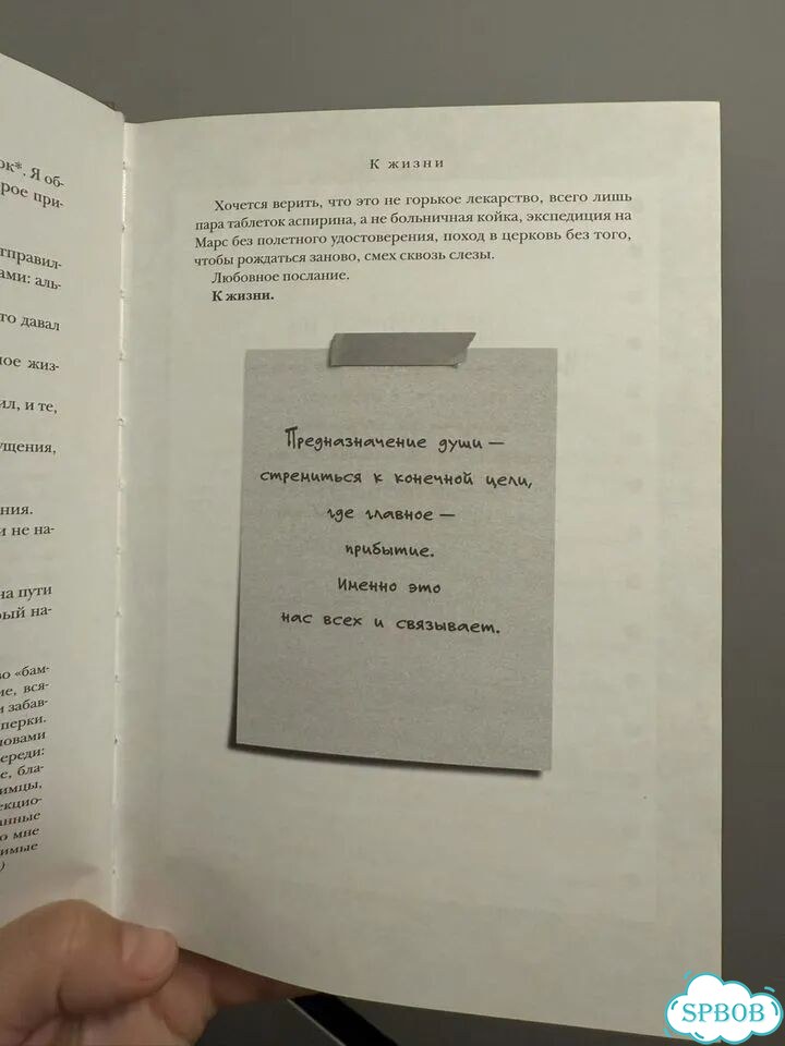 Книга зеленый свет Мэттью Макконахи фото 4