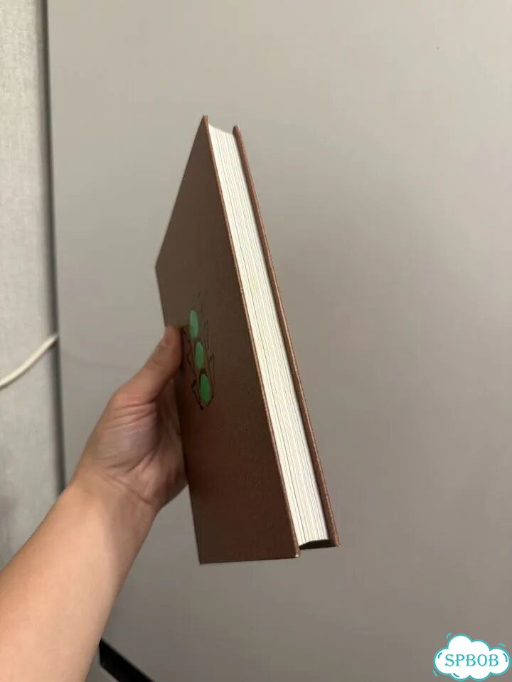 Книга зеленый свет Мэттью Макконахи фото 7