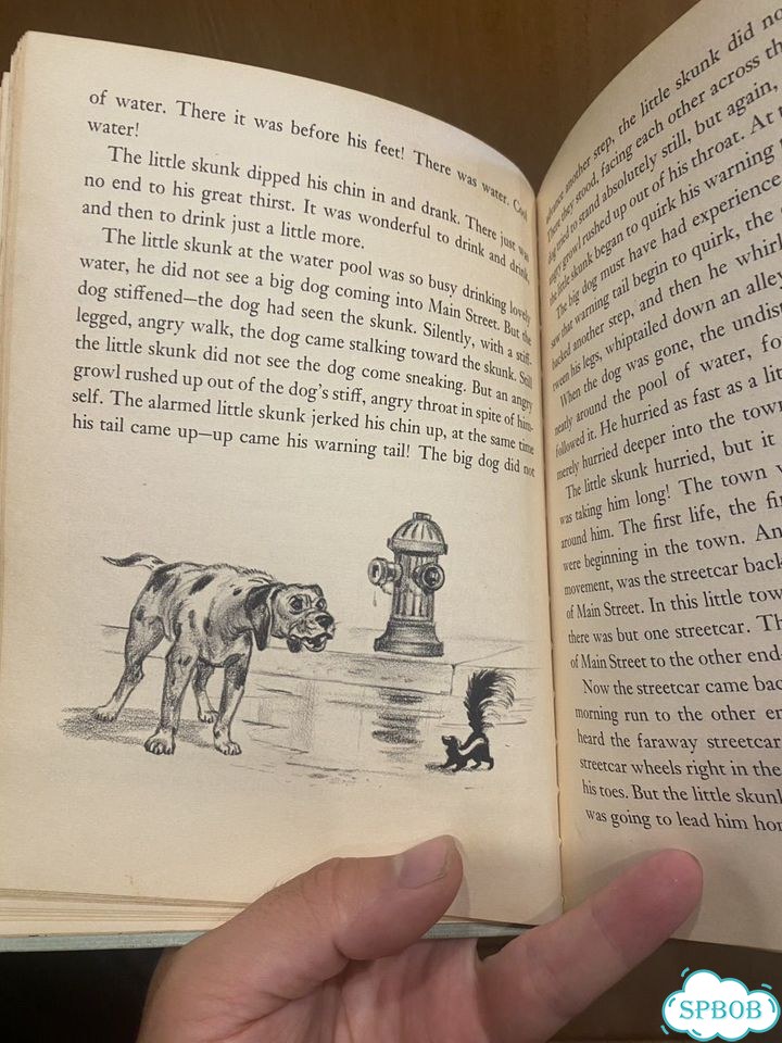 Антикварная Книга США 1951 фото 8