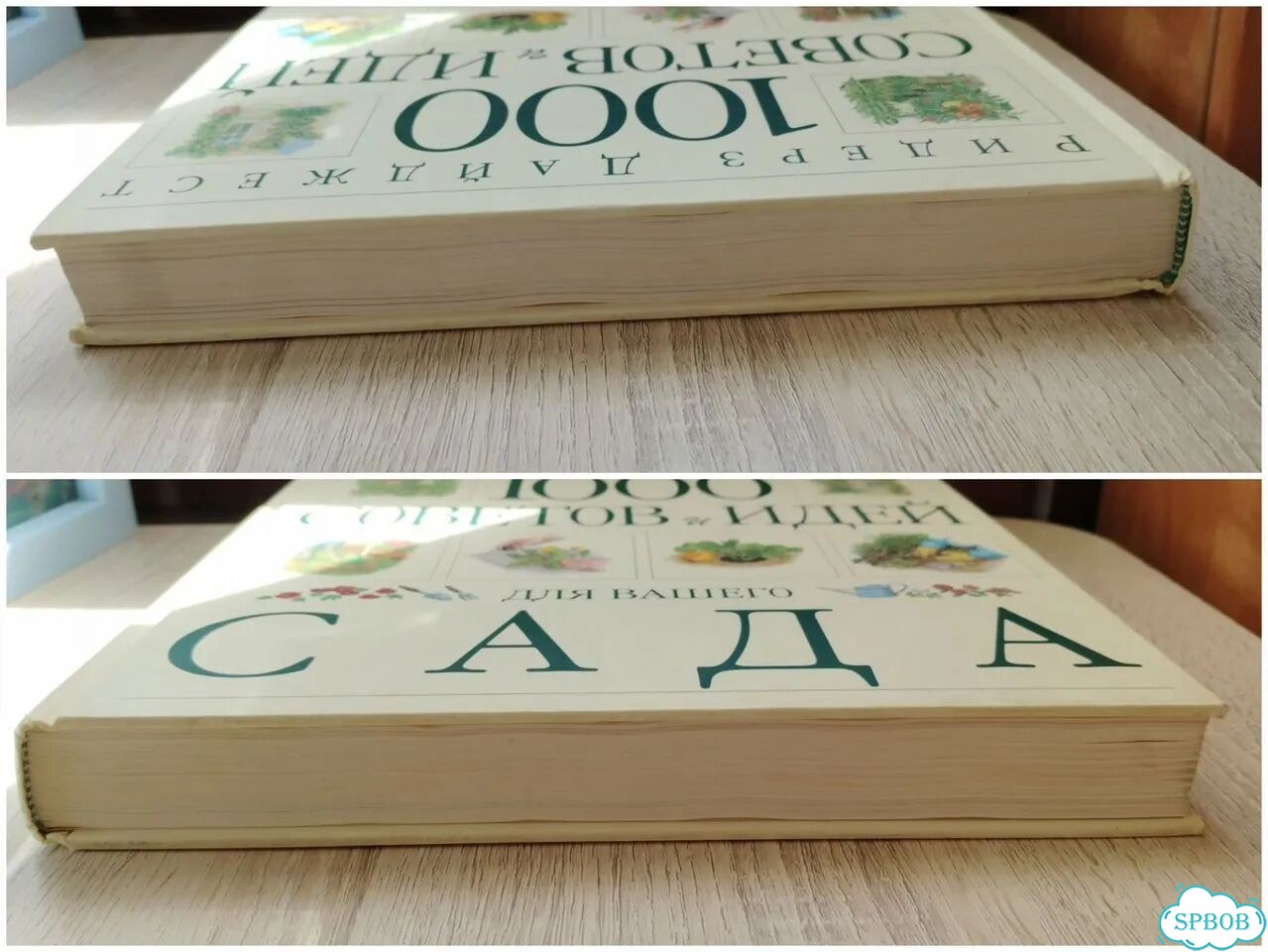 Энциклопедия «1000 советов и идей для вашего сада» фото 5