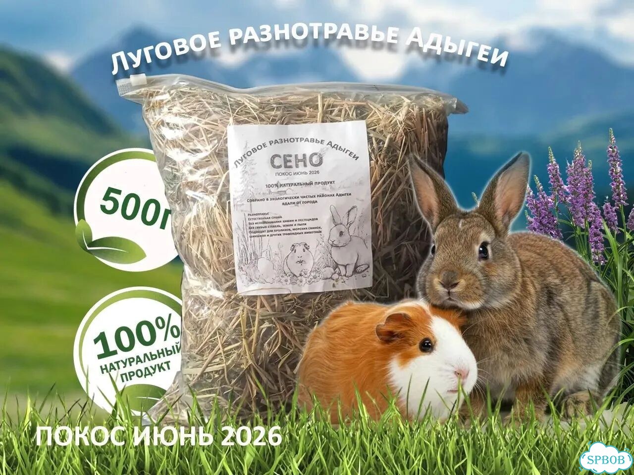 Сено для грызунов луговое фото 1